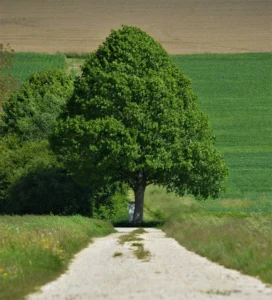 expertise-transition-orientation-professionnelle-realisation-formation